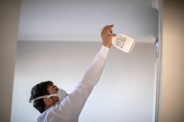 Best Mold Removal and Inspection  in Northbrook, OH