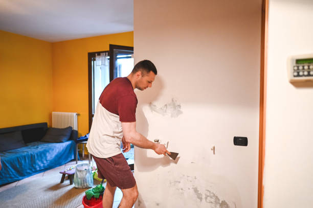 Mold Removal and Inspection in Northbrook, OH